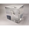Acrylic cube Thallium