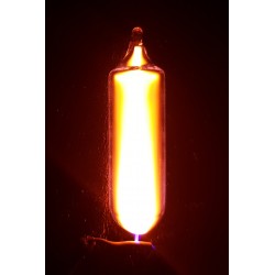 Neon Ampulle 12mm