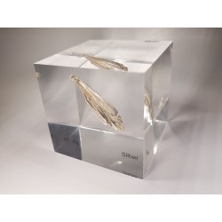 Acrylic cube silver